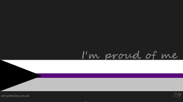 I'm proud of me - Demisexual flag
